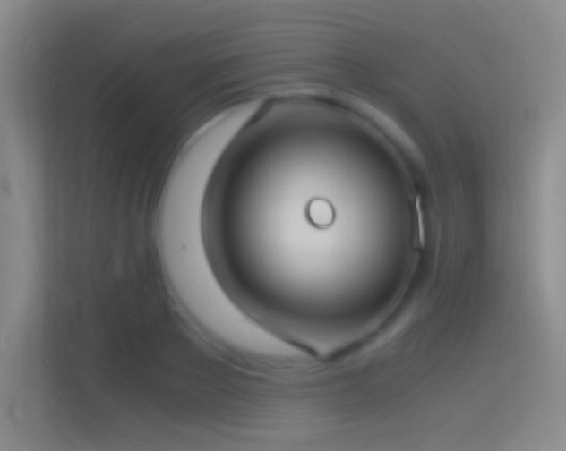 X0000114390889200910231014