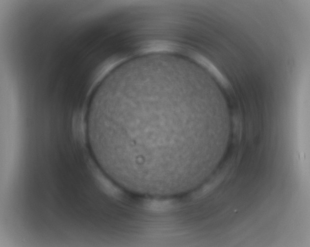 X0000114390890200910231014