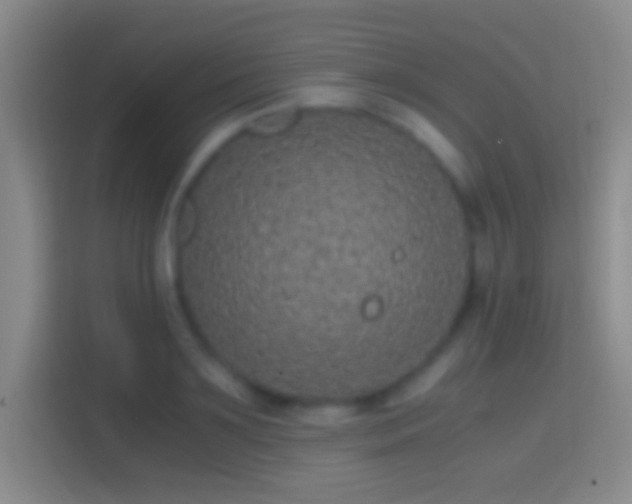 X0000114390891200910231014