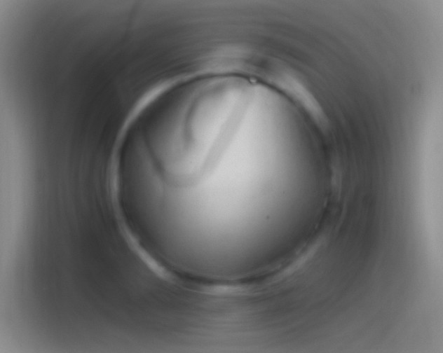 X0000114390894200910231014