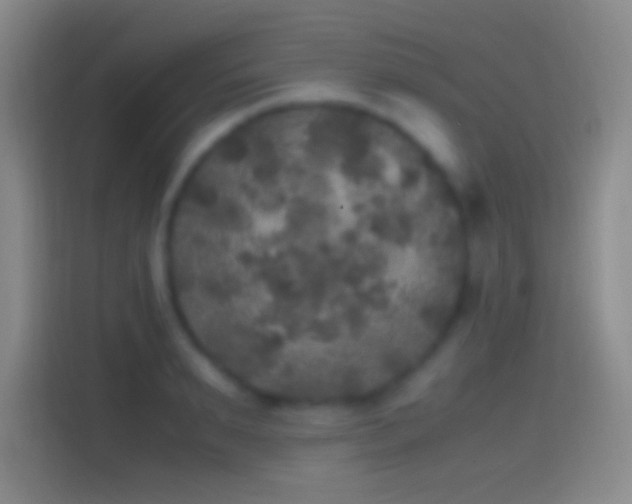 X0000114390895200910231014