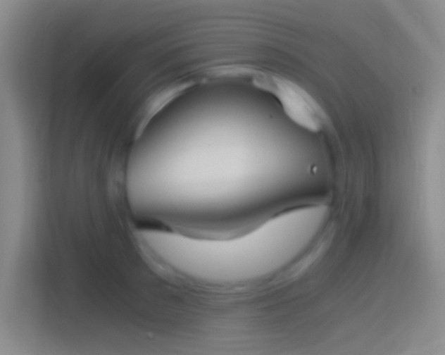 X0000114390897200910231014
