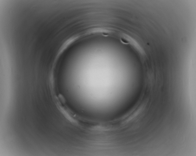 X0000114390898200910231014