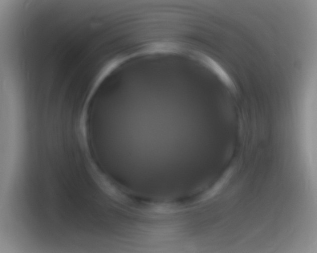 X0000114390899200910231014