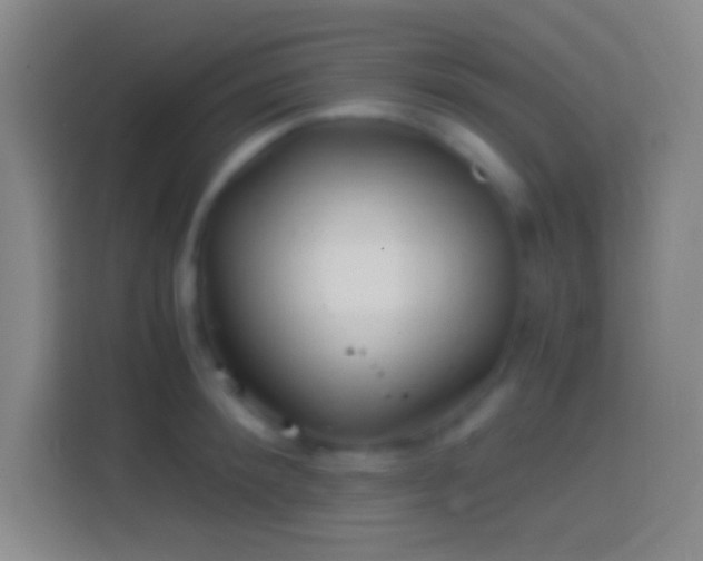 X0000114390900200910231014