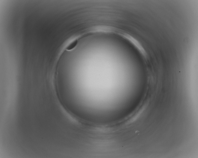 X0000114390901200910231014