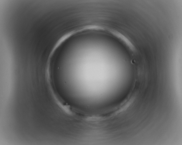 X0000114390902200910231014