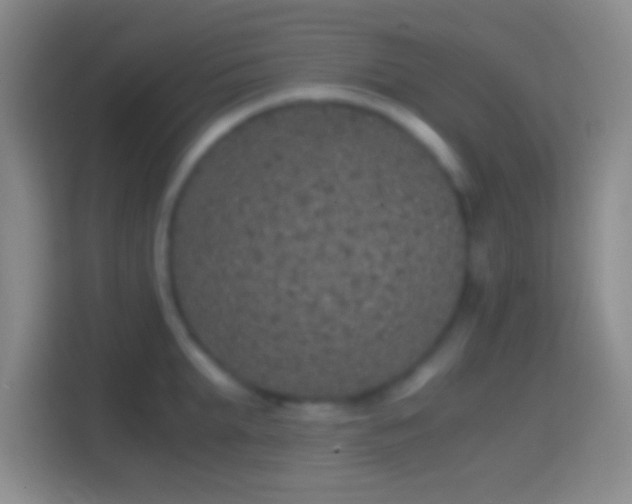 X0000114390903200910231014