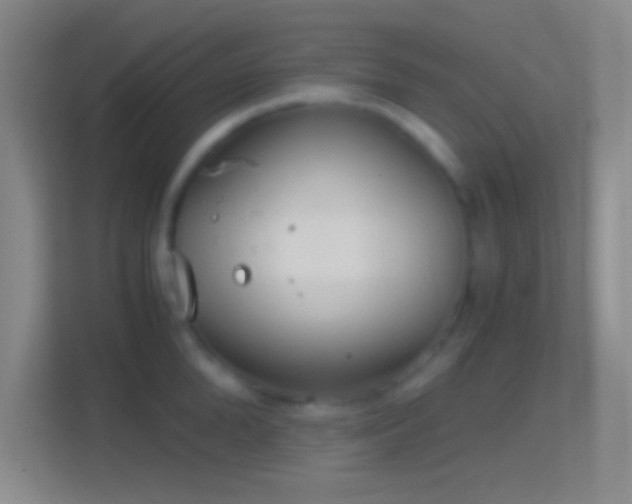 X0000114390904200910231014