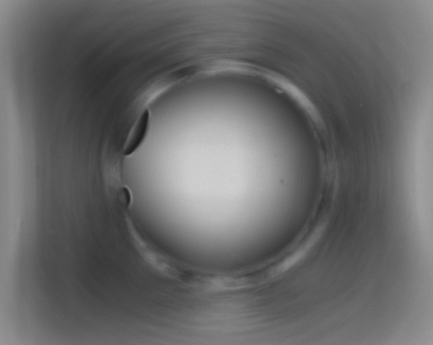 X0000114390905200910231014