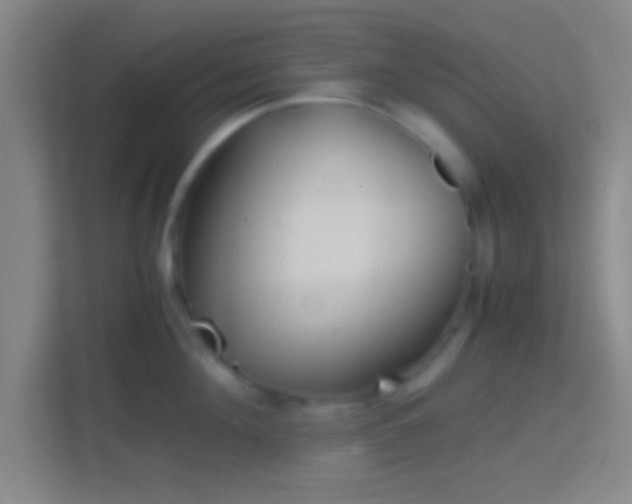 X0000114390908200910231014