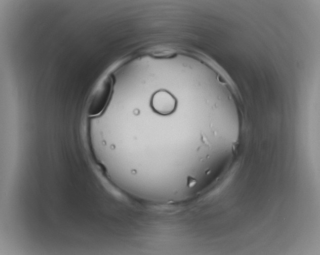 X0000114390909200910231014