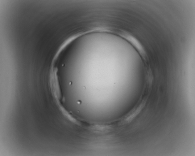 X0000114390910200910231014