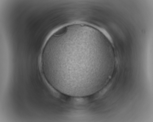 X0000114390911200910231014