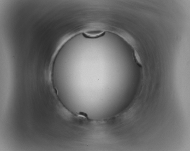 X0000114390912200910231014