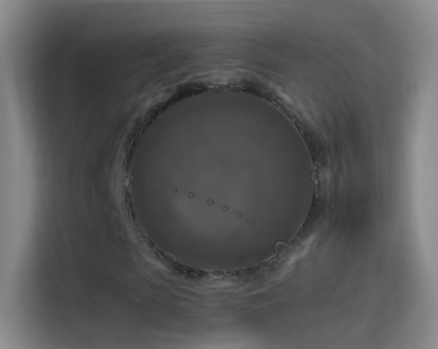 X0000114390913200910231013