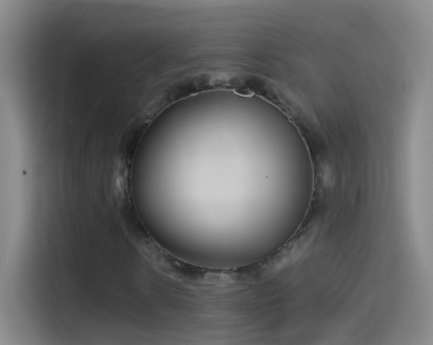 X0000114390914200910231013