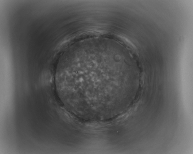 X0000114390917200910231013