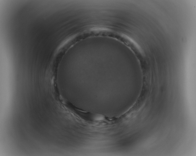 X0000114390919200910231013