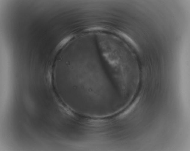 X0000114390921200910231013