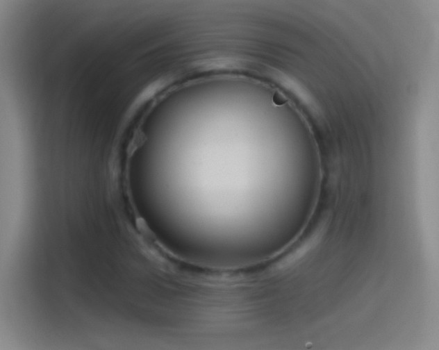 X0000114390922200910231013