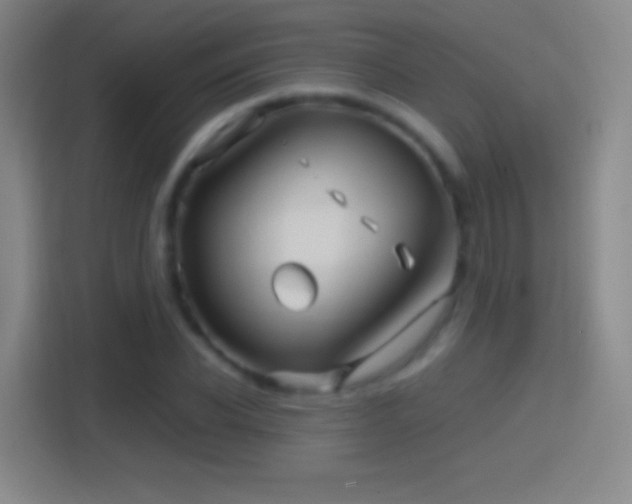 X0000114390926200910231013