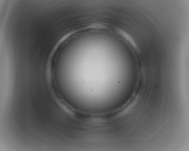 X0000114390931200910231014
