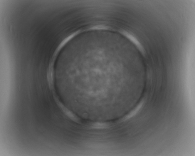 X0000114390933200910231014