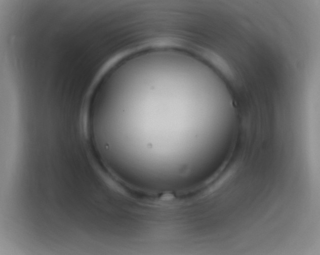 X0000114390934200910231014