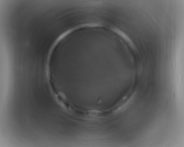 X0000114390935200910231014