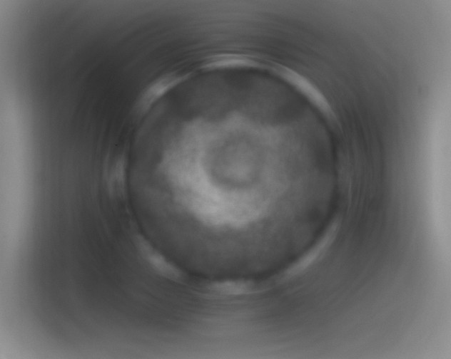 X0000114390937200910231014