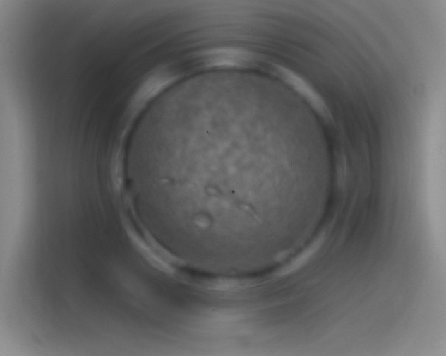 X0000114390938200910231014