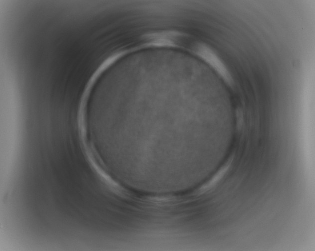 X0000114390939200910231014