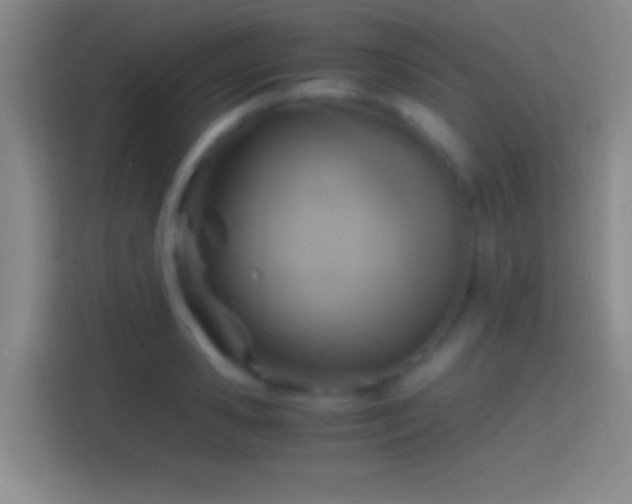 X0000114390941200910231014