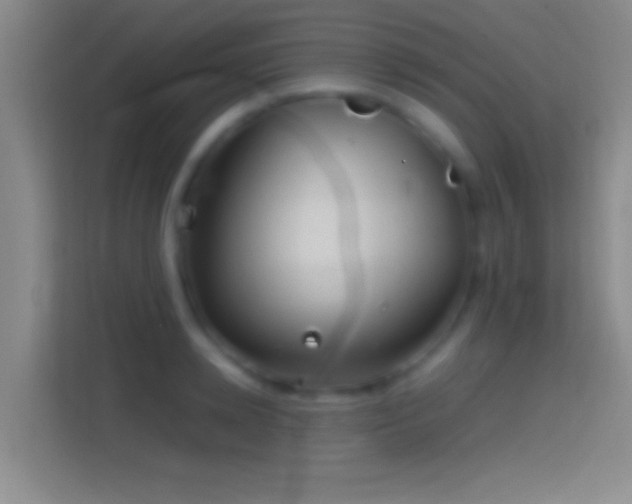 X0000114390942200910231014