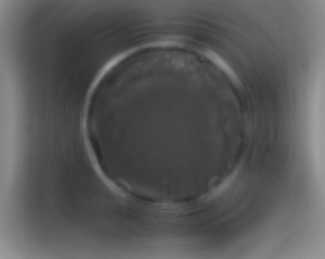 X0000114390943200910231014