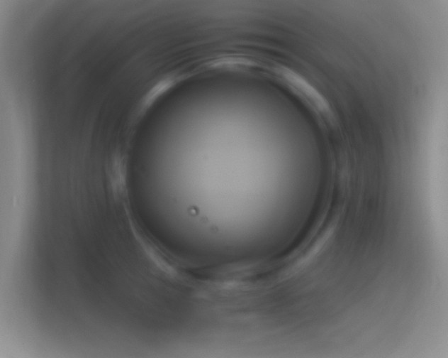 X0000114390945200910231014