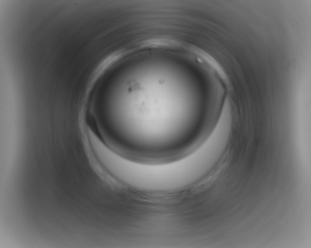 X0000114390946200910231014