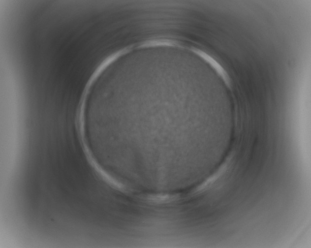 X0000114390949200910231014