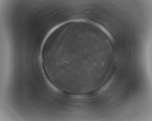 X0000114390951200910231014