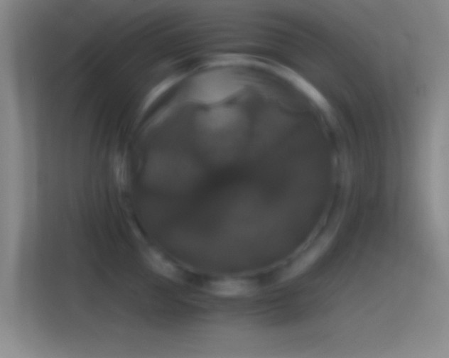 X0000114390953200910231014