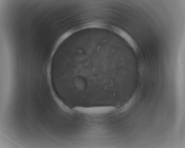 X0000114390954200910231014