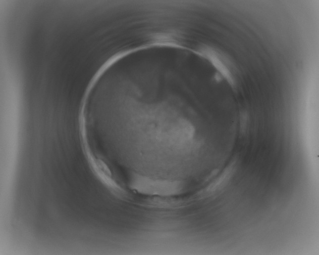 X0000114390955200910231014