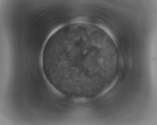 X0000114390957200910231014
