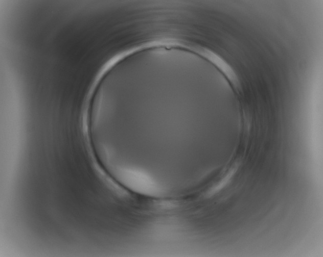 X0000114390958200910231014
