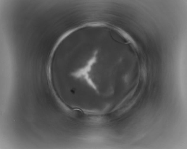 X0000114390959200910231014