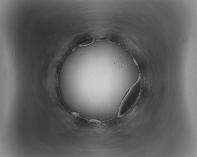X0000114390961200910231013