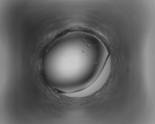 X0000114390965200910231013