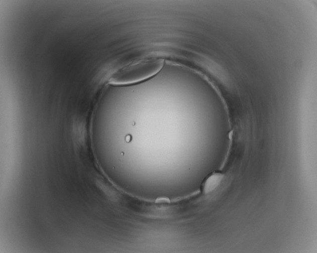 X0000114390969200910231013