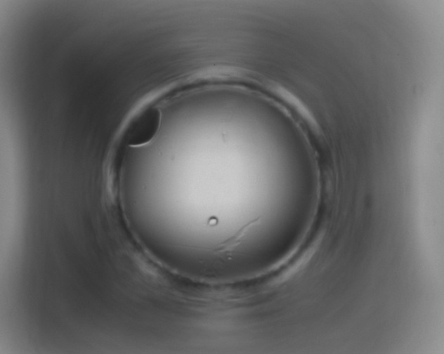 X0000114390973200910231013